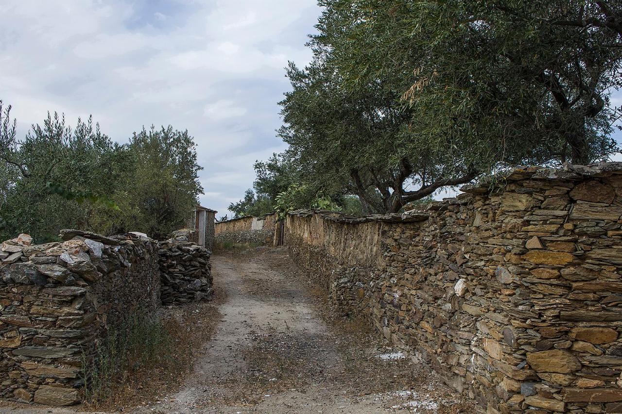 Casa Rural Julio Vegas Vendégház Santiago Del Campo Kültér fotó